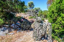 φειδιππίδησ army|Καταστάσεις Επιβιβάσεως – ΚΑΤΑΤΑΞΗ .